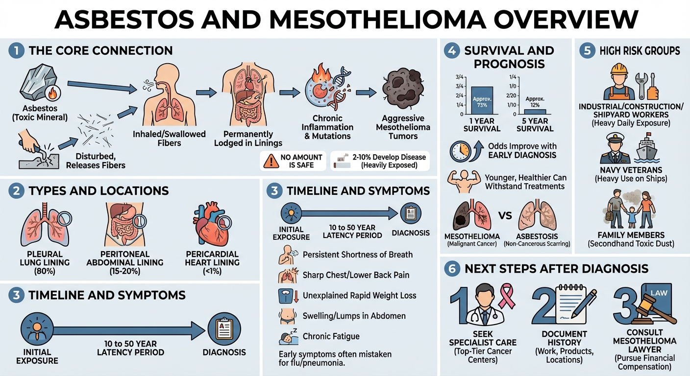 Asbestos Mesothelioma: Causes, Symptoms Next Steps